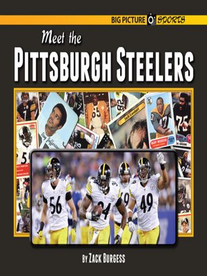 cover image of Meet the Pittsburgh Steelers